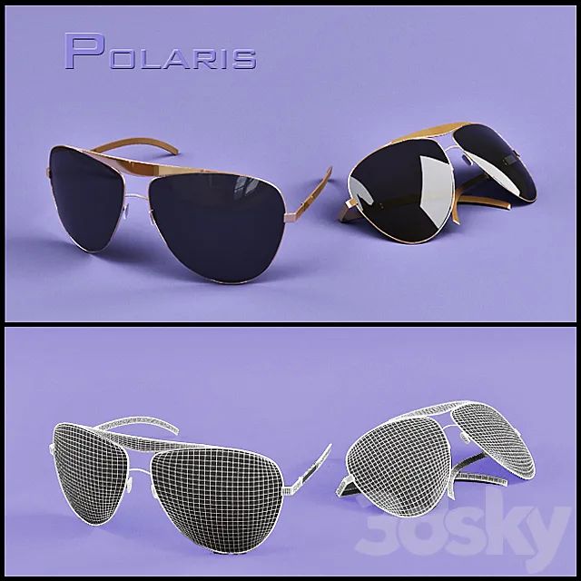 Polaris 3DModel
