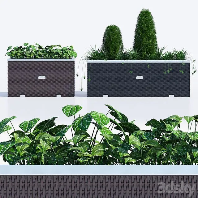 Polyrattan one Free Download
