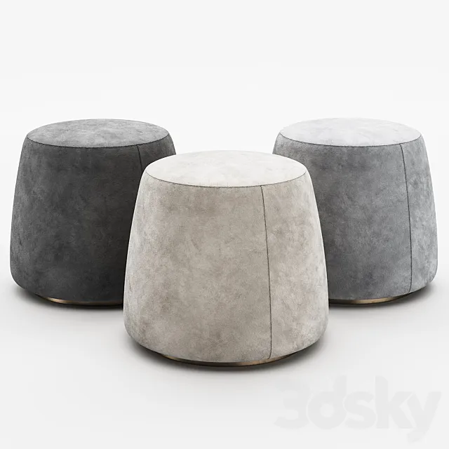 Poof in the hallway 3D Model