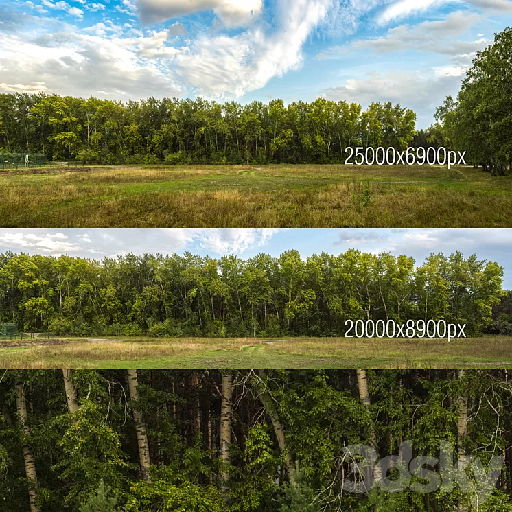 Poplar panoramas 3D Model