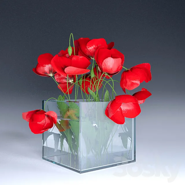 Poppies 3D Model