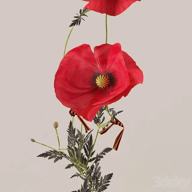 Poppies (Poppies) 3D Model