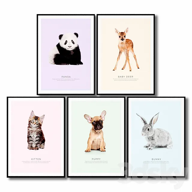 Posters for the children's room are animals. 3D Model