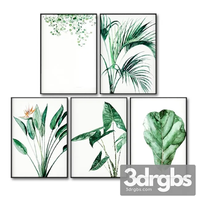 Posters with leaves of tropical plants. 3D Model Free