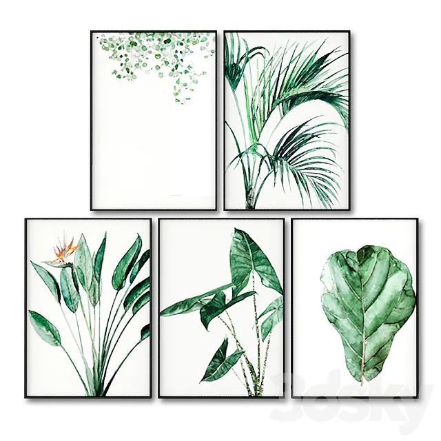 Posters with leaves of tropical plants. 3DModel