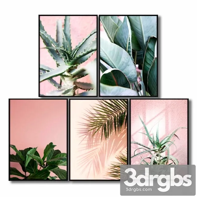 Posters with pink plants. 3D Model Free