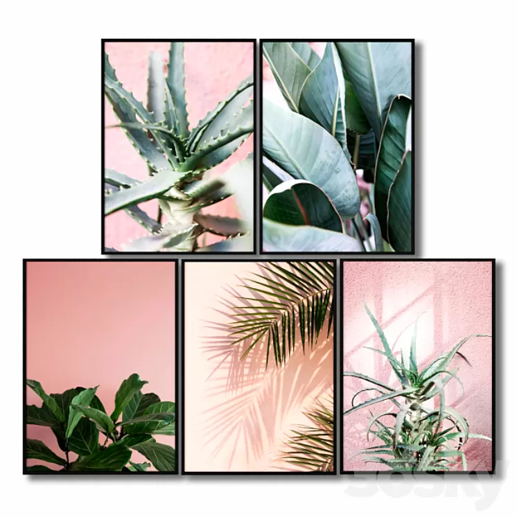 Posters with pink plants. 3D Model