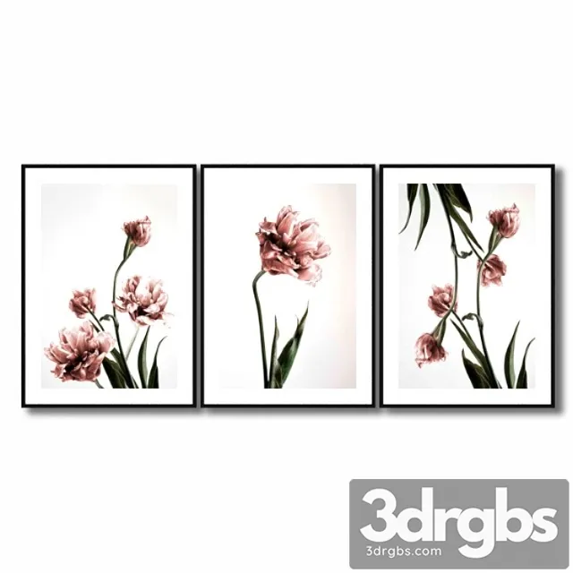Posters with pink tulips. 3D Model Free
