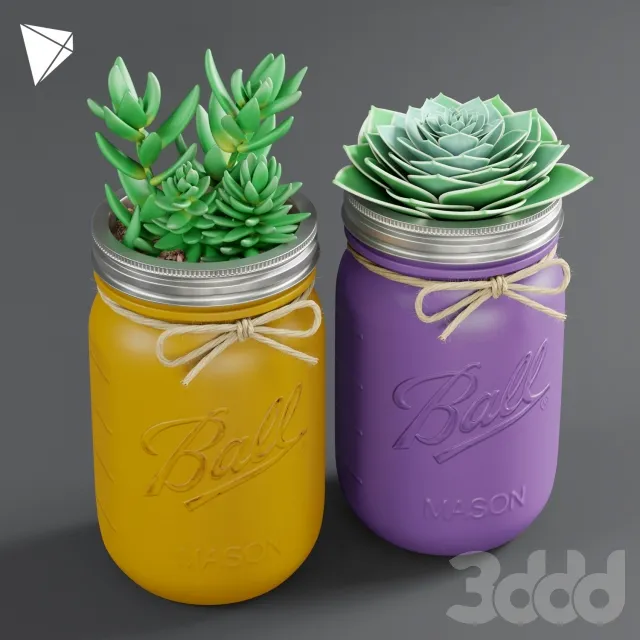 Pot Ball Mason Jar Succulent 3D Model