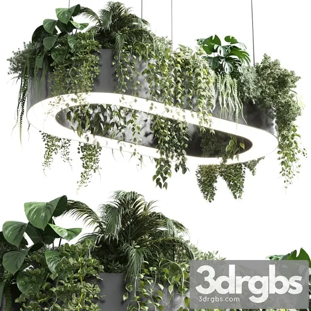 Pot light - pendant plant light hanging 06 corona