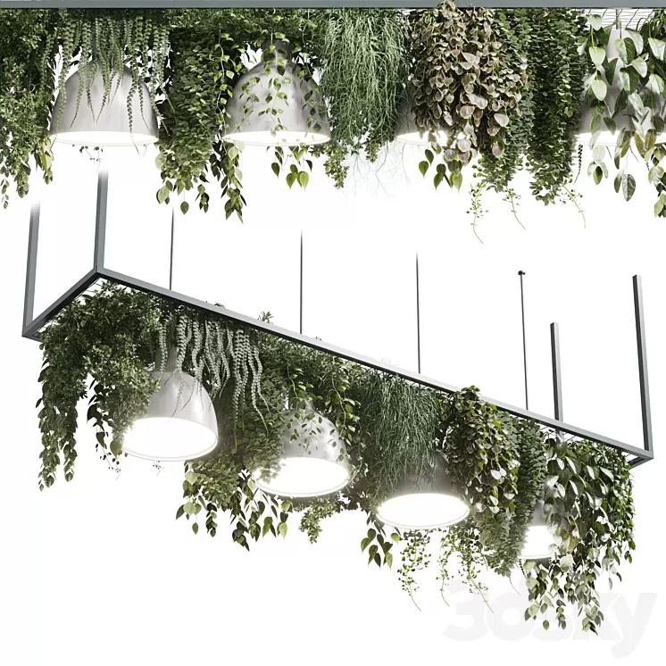 pot light - pendant plant light hanging 08 3D Model Free