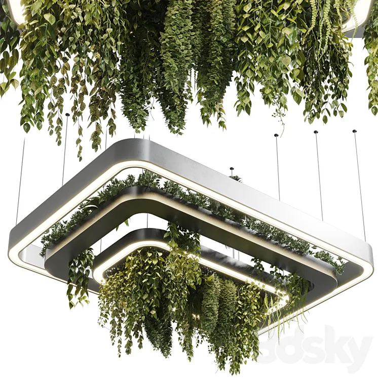pot light pendant plant light hanging 11 3D Model Free