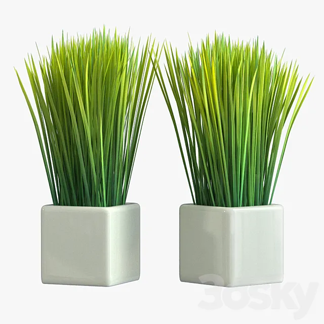 Pot Plant 17 3D Model