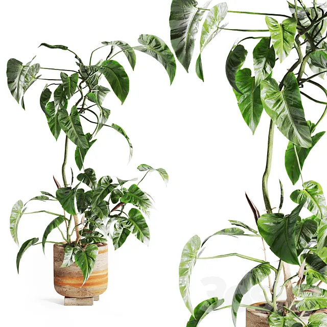 pothos in concrete Pot 3D Model