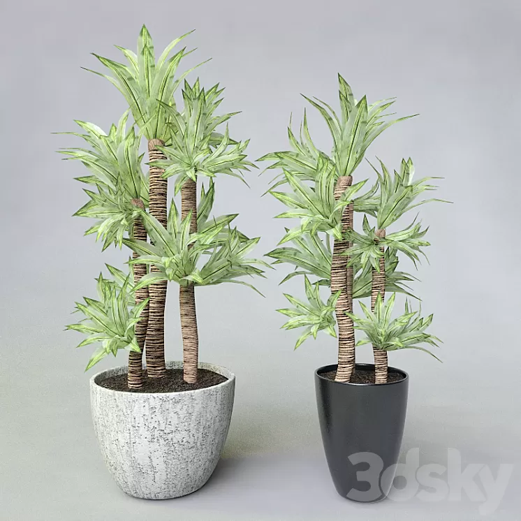 Potted plant 3D Model