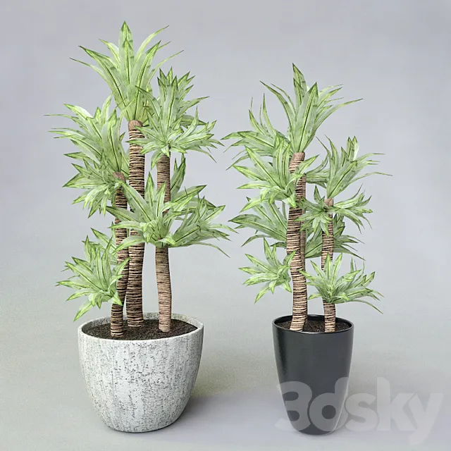 Potted plant 3DModel