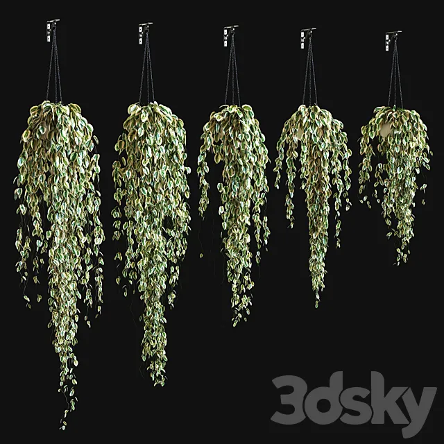 Potted plant on a chain 3D Model