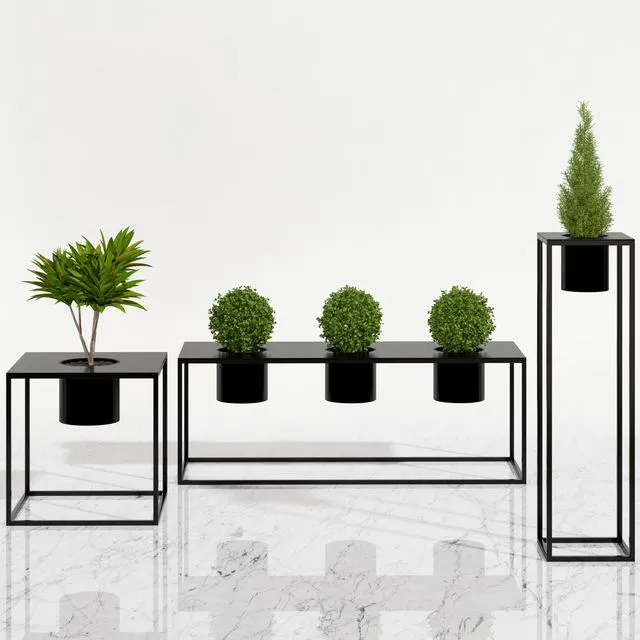 Potted plants 05 3D Model