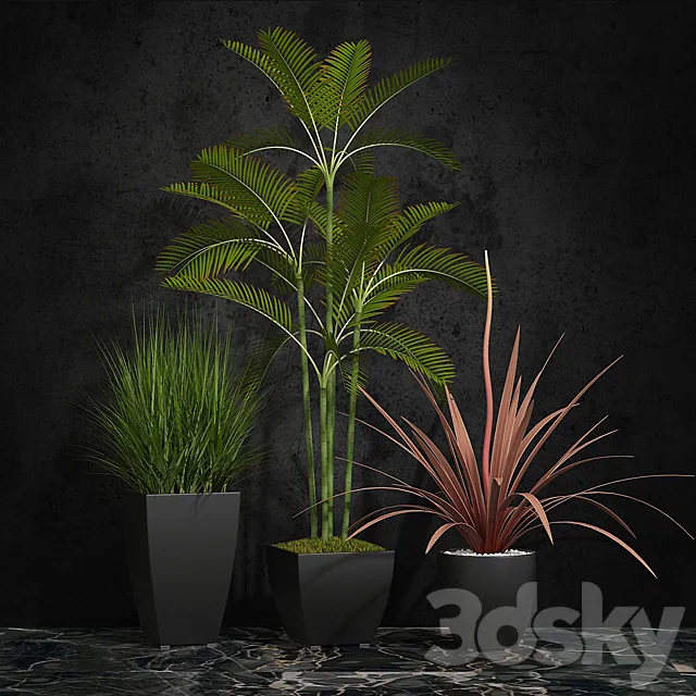 Potted plants 06 3D Model