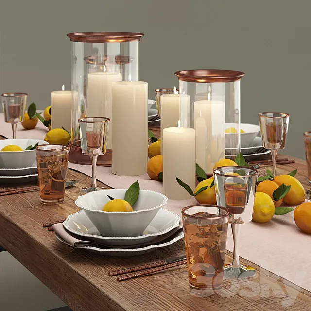 Pottery Barn Dinner Set 3DModel