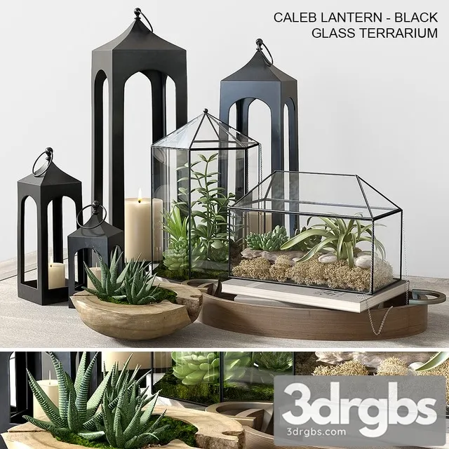 Pottery Barn Glass Terrarium 3D Model Free