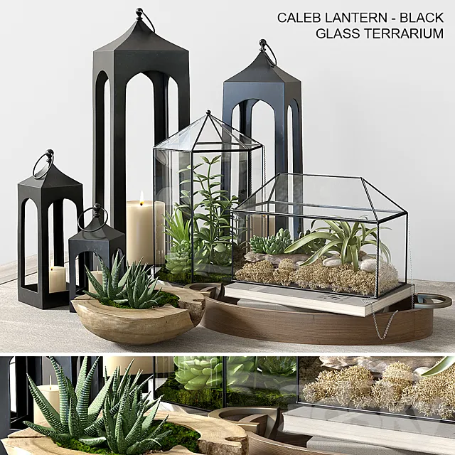 Pottery barn GLASS TERRARIUM 3DModel