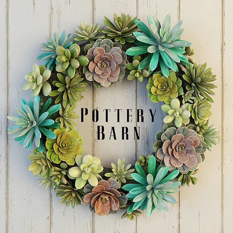 Pottery Barn Succulent Wreath 3D Model