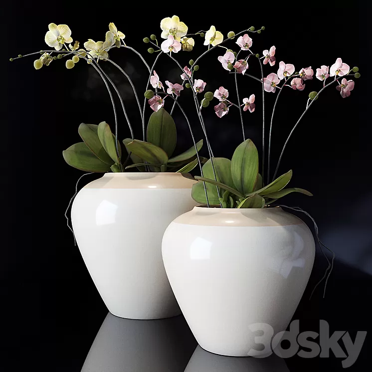 potterybarn Orchid 3D Model