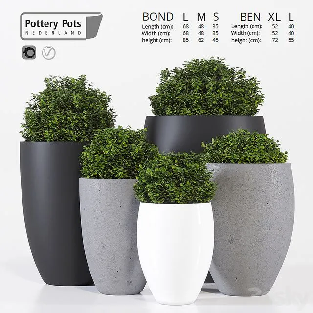 Potterypots five 3D Model