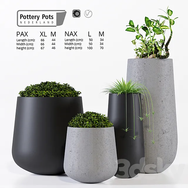 Potterypots two 3D Model