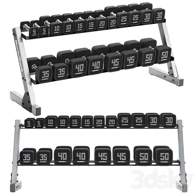 Premium Dumbbell Set and Dumbbell Rack 3D Model Free