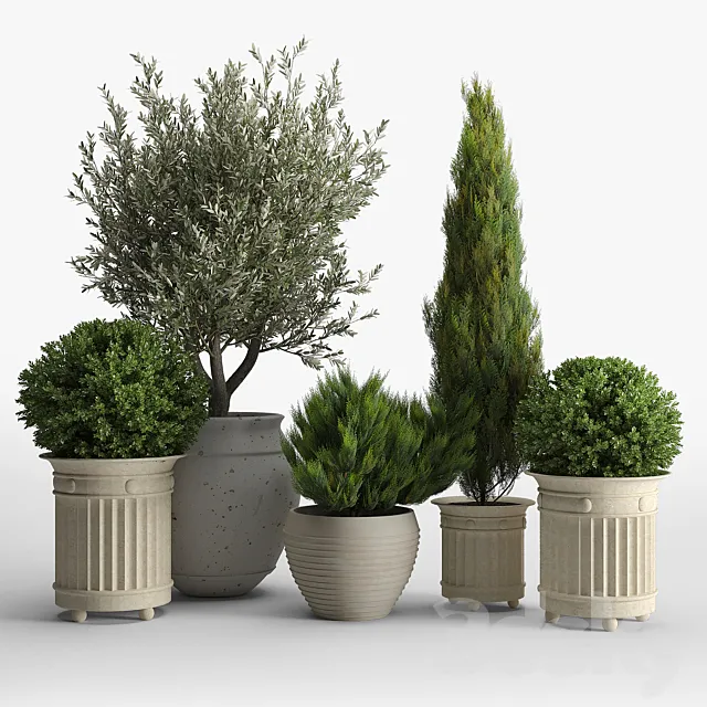 prescott planter set 3DModel