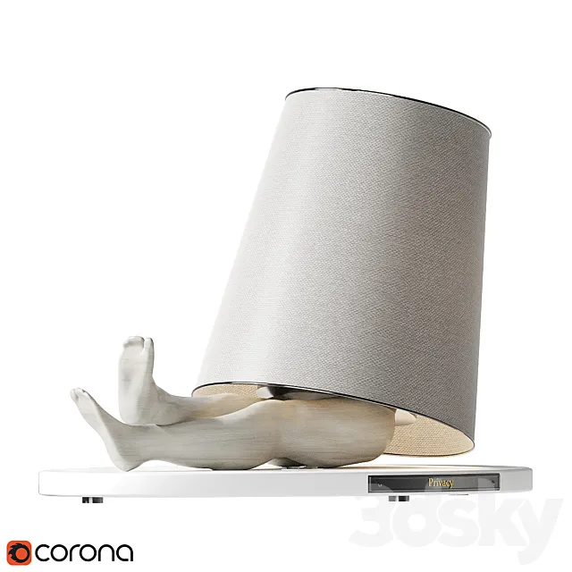 Privacy 3DModel
