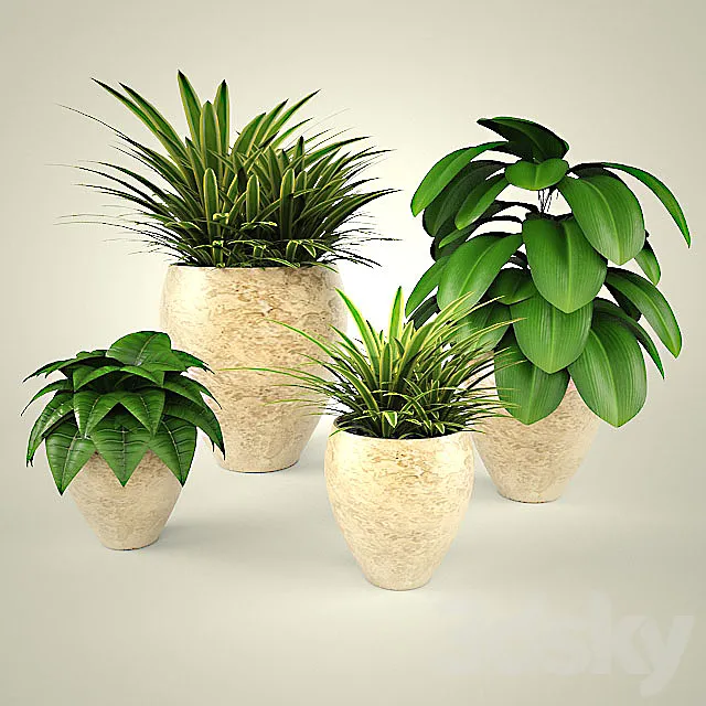 PROFI flowers 3D Model