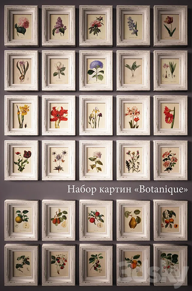 "PROFI" Paintings «Botanique». 3D Model