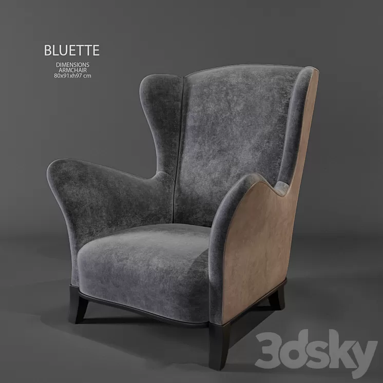 PROMEMORIA BLUETTE 3D Model