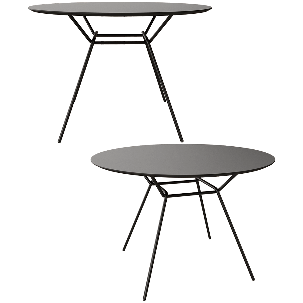 Prostoria - Table Strain low 3D Model