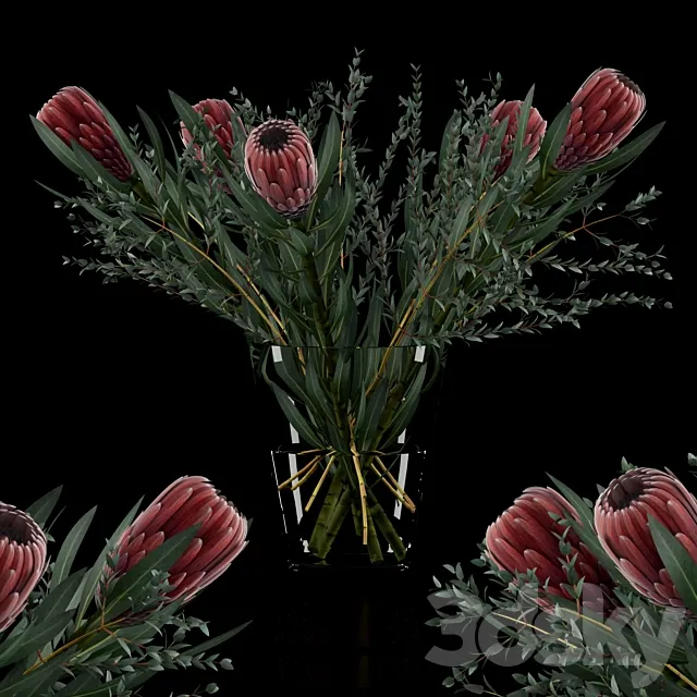 Protea & Eucalyptus parvifolia 3D Model