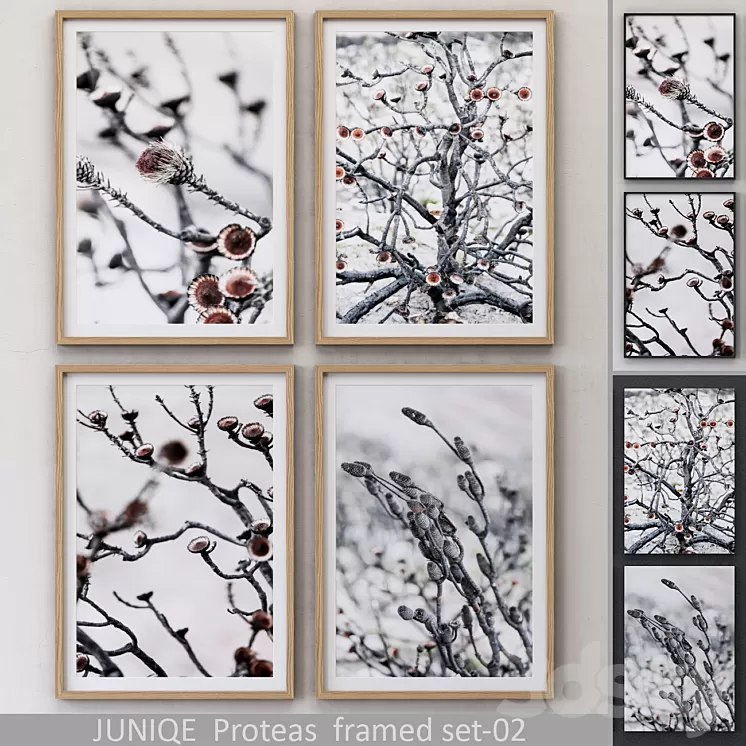 Proteas framed set-02 3D Model