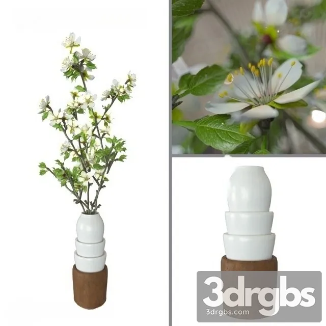 Prunus Domestica 3D Model Free