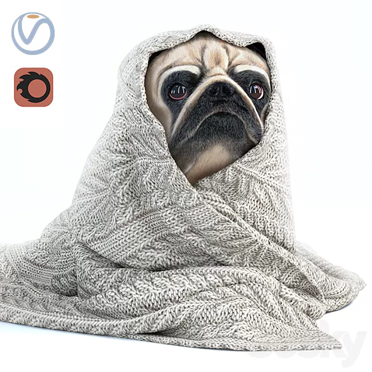 Pug 1 - Winter is coming 3D Model