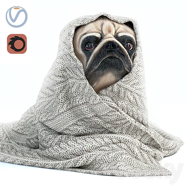 Pug 1 - Winter is coming Free Download
