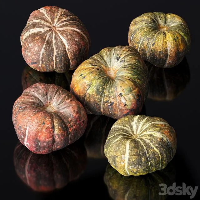 Pumpkin. 5 Free Download