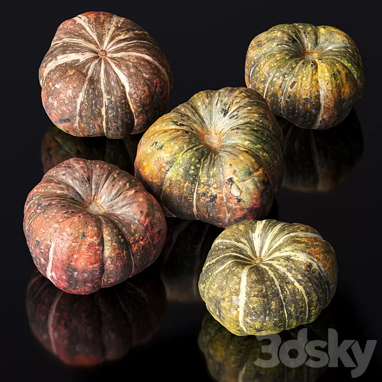Pumpkin. 5 models 3D Model