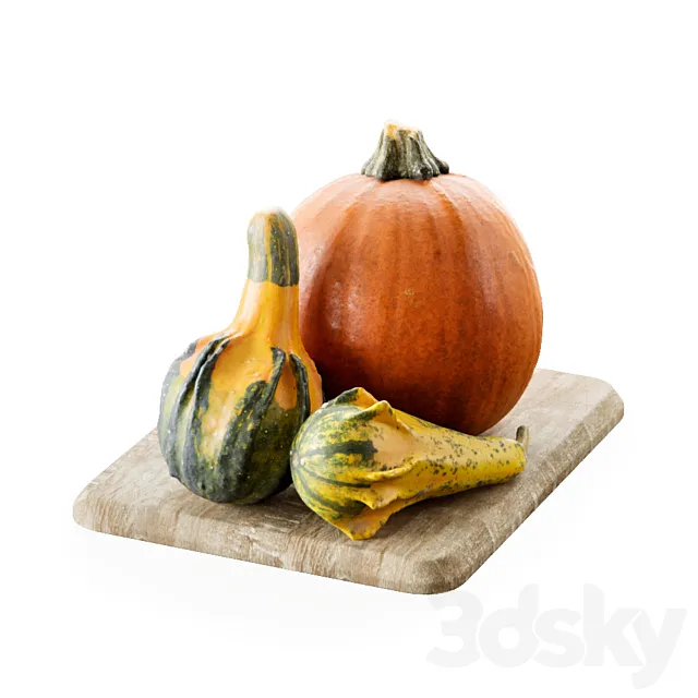 Pumpkins 3D Model