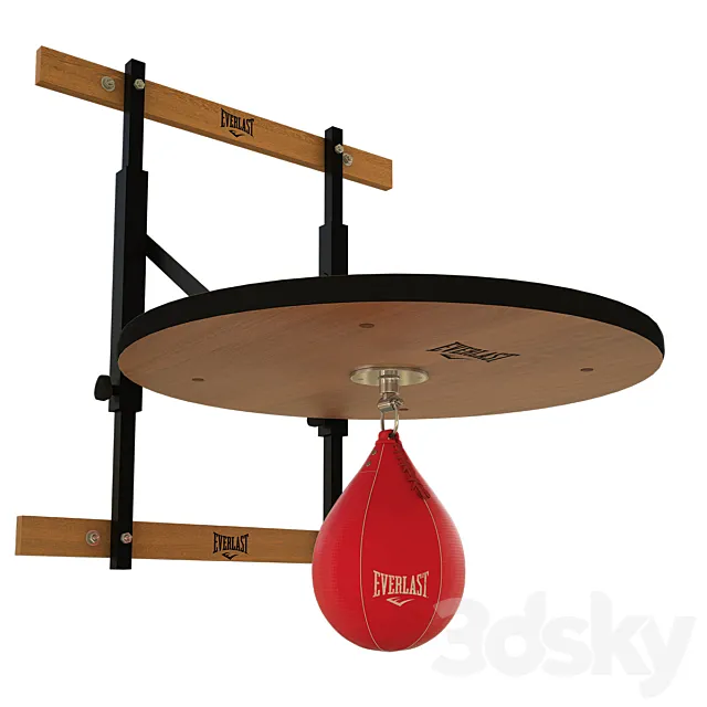 Punching bag and fasteners Everlast Free Download