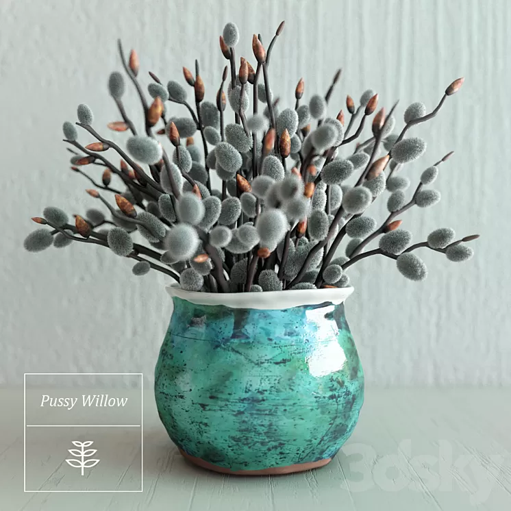 Pussy Willow Bouquet 3D Model