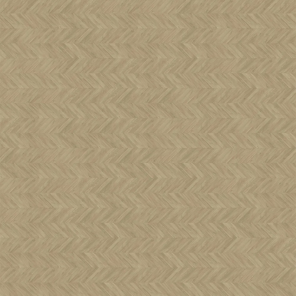 Quick step - CA 4160 3D Model