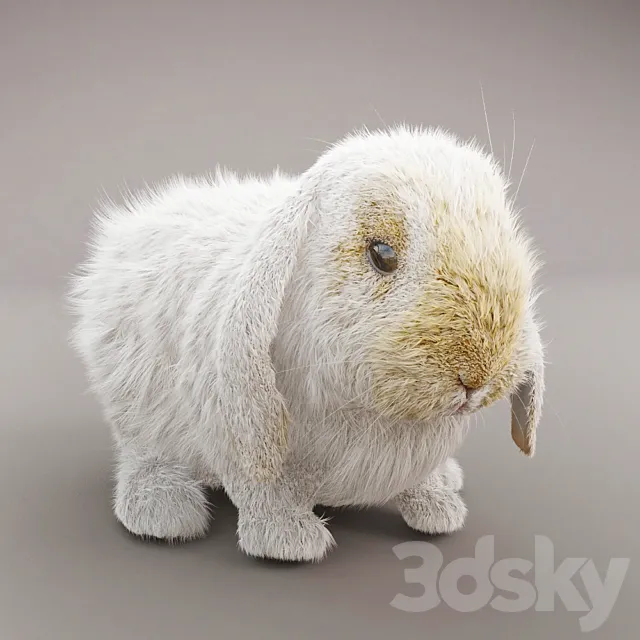 Rabbit 3DModel