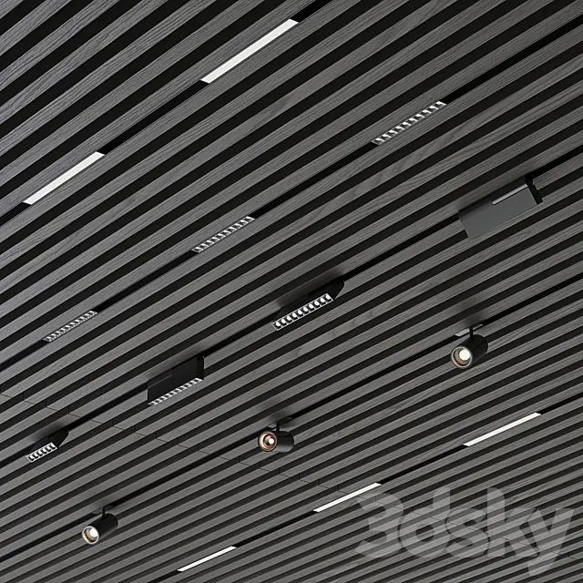 rack ceiling Free Download